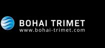 IT-Job BOHAI TRIMET Automotive Holding GmbH