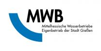 Deutsche Medienagentur IT-Job